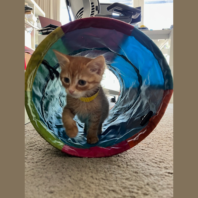 Photo of Doofus