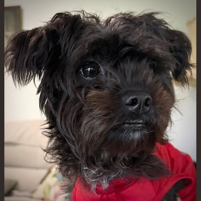 Photo of Freya