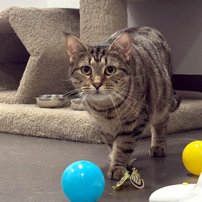 Photo of Marge Sta013634