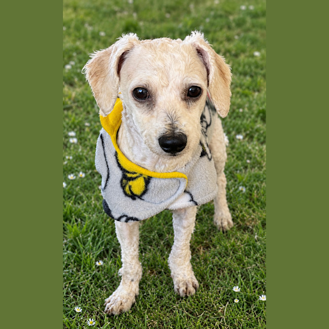 Photo of Edie