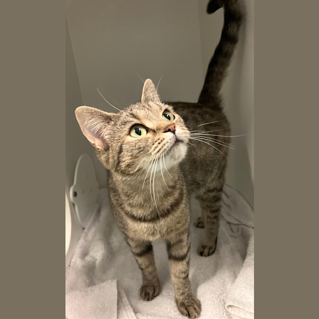 Photo of Milky