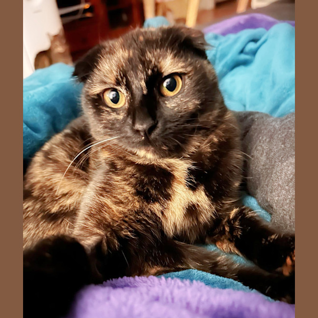 Photo of 🍹Paloma🍹