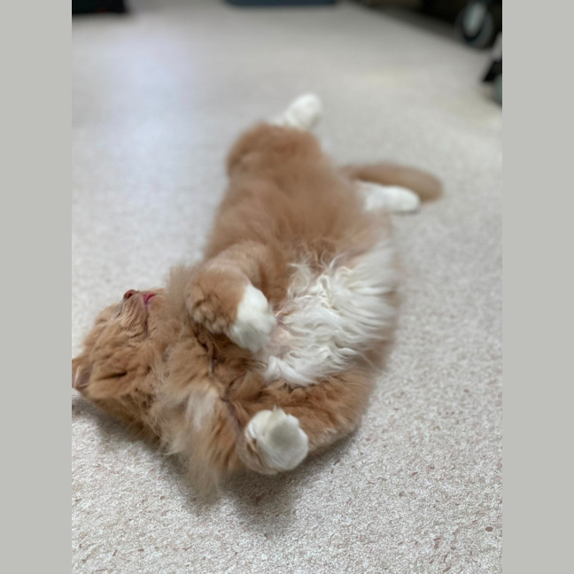 Photo of Garth (0030)