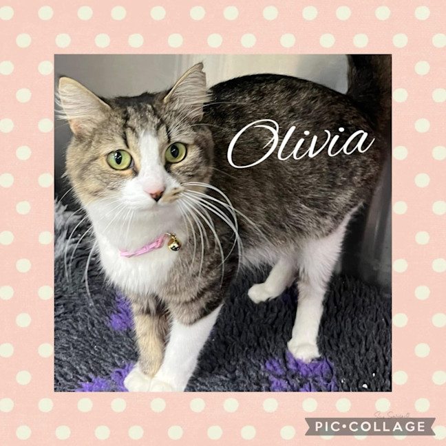 Photo of Olivia 