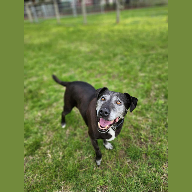 Photo of 🐻 Buster 6375 🐻