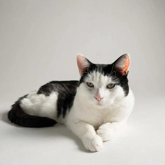 Photo of Winnie
