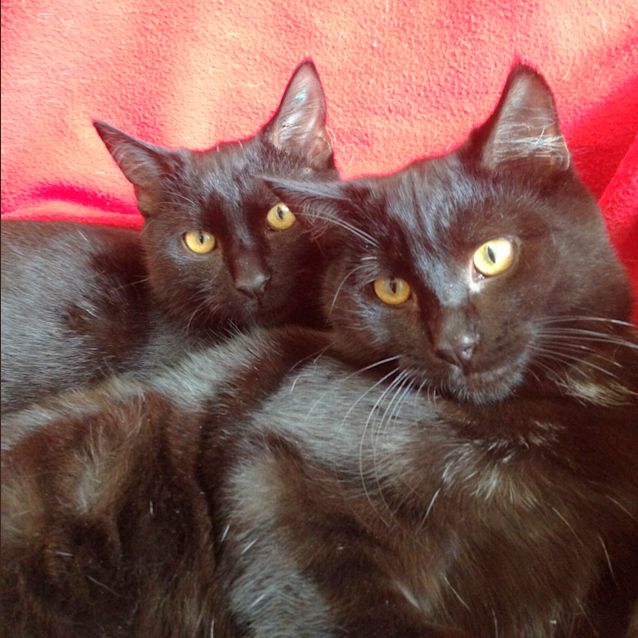 Photo of Bill & Ted
