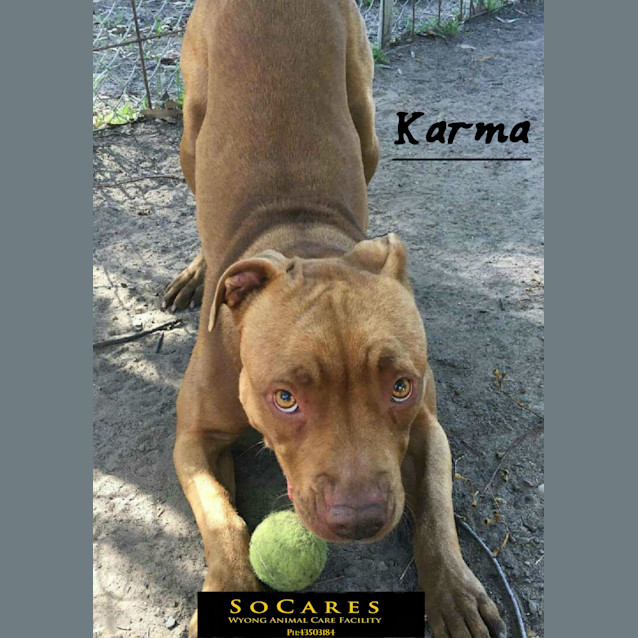 Photo of Karma