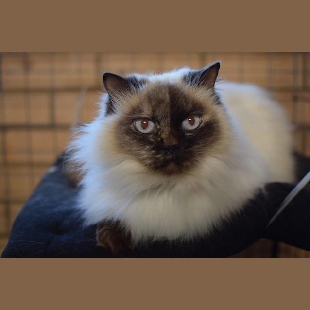 Photo of Sugar