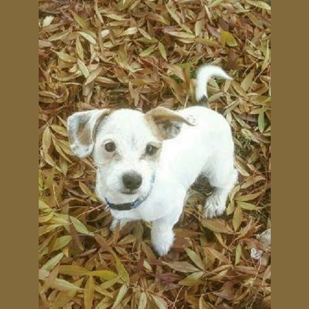 Photo of Bert