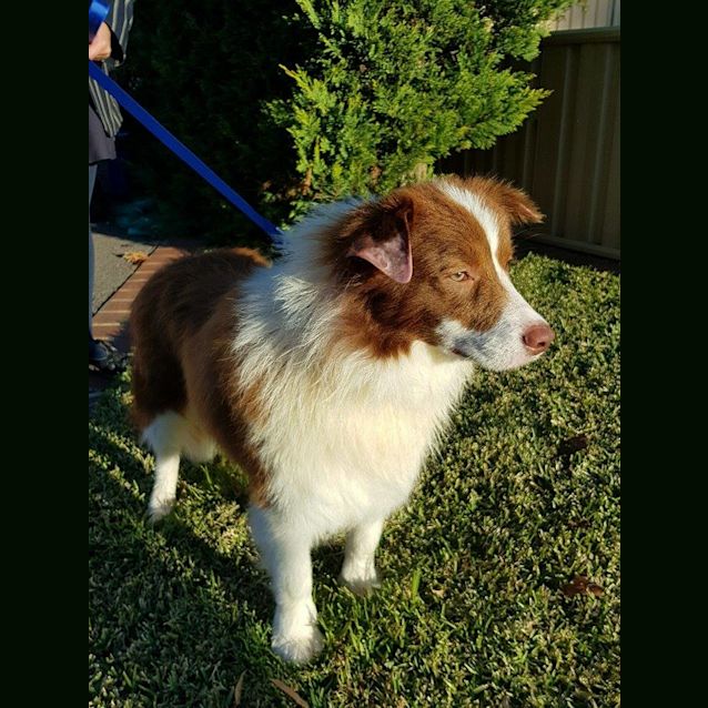 Photo of Nudge