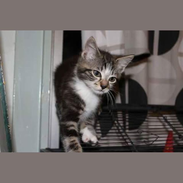 Photo of Hugo