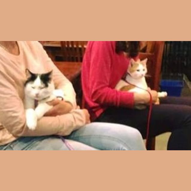 Photo of Jeremy & Cassidy   Handsome, Fun Loving Bros!