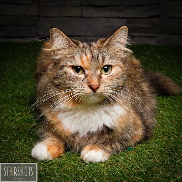 Photo of Charlotte