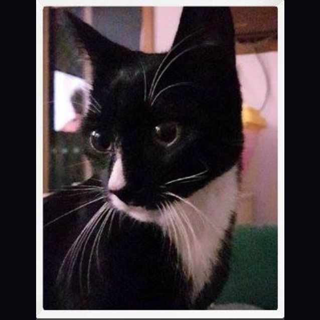 Photo of Timmy