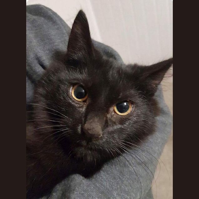 Photo of Miss Cilla