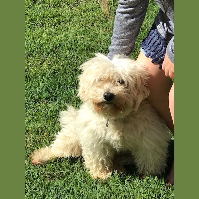 Photo of Benny