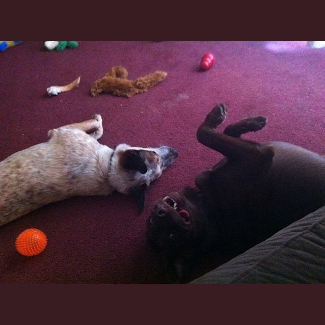 Photo of Elizabeth 