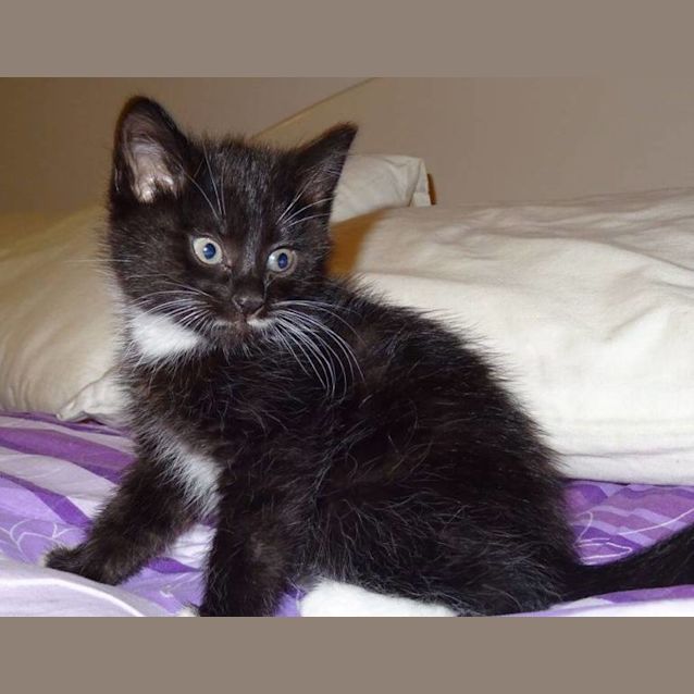 Photo of Tipsy