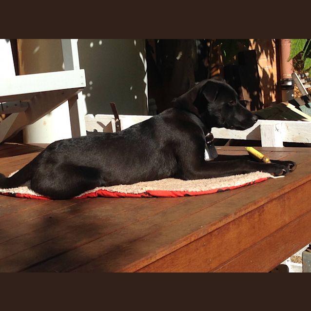 Photo of Suzie