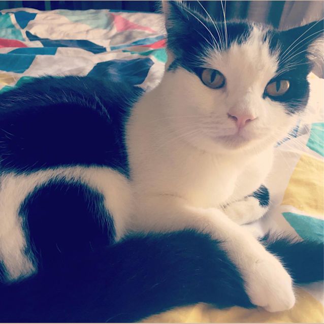 Photo of Squeak
