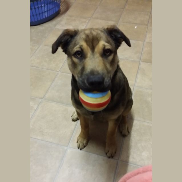 Photo of Miller (Ed0106) 