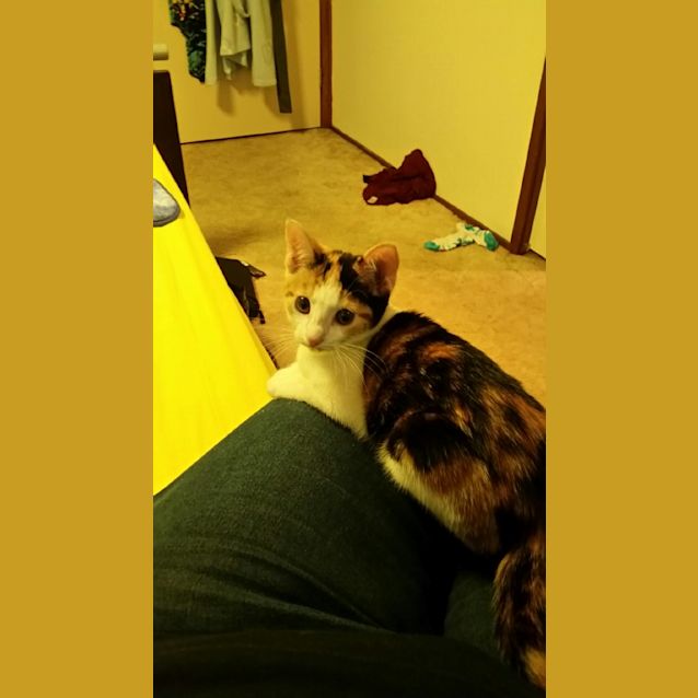 Photo of Willow