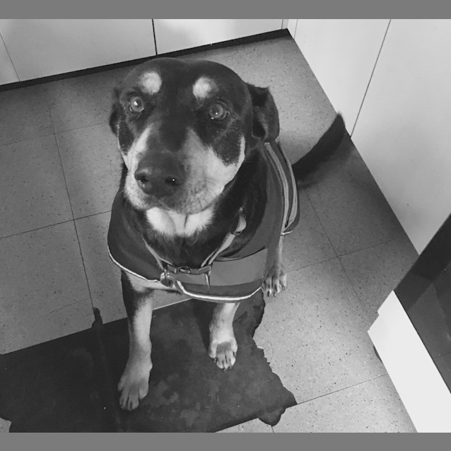 Photo of Honey ** A Divine Girl **