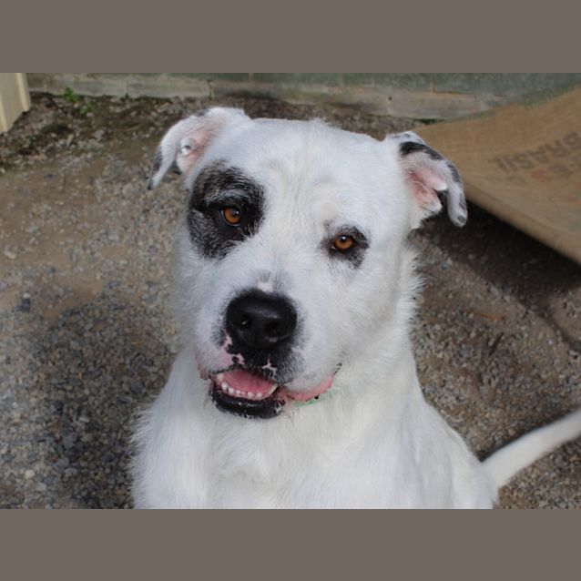 Photo of Zeus