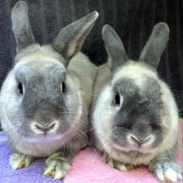 Photo of Xander & Willow