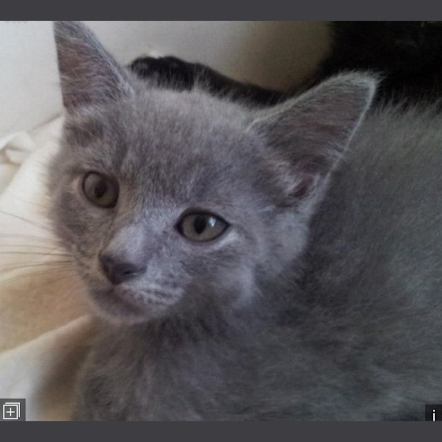 Photo of Bruce