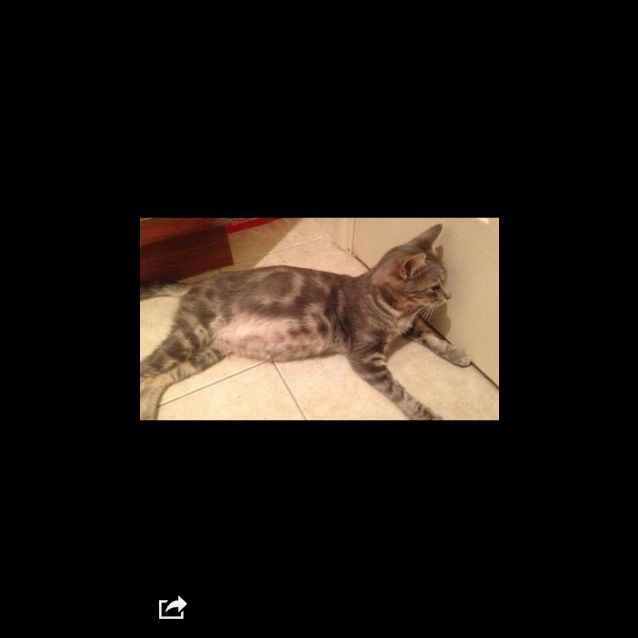 Photo of Tilly
