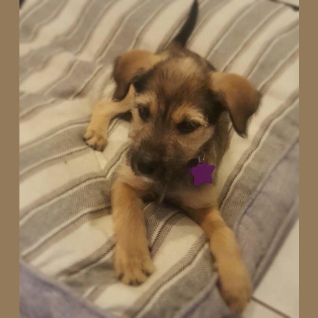 Photo of Nola