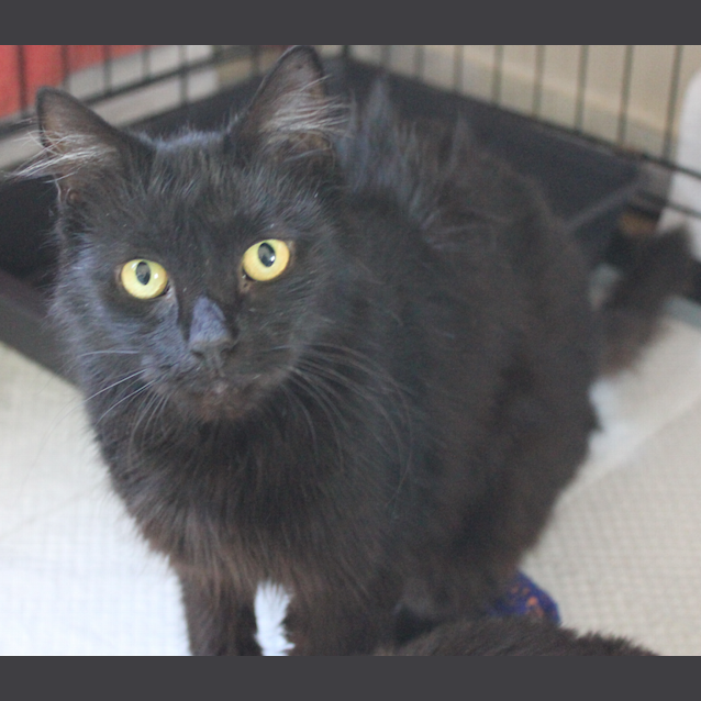 Photo of Betty