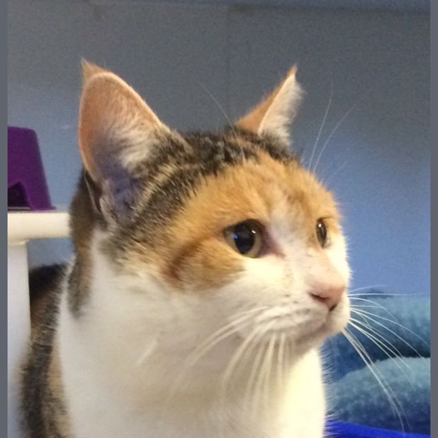 Photo of Sadie Sta001141