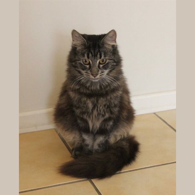 Photo of Miss Chuck Norris