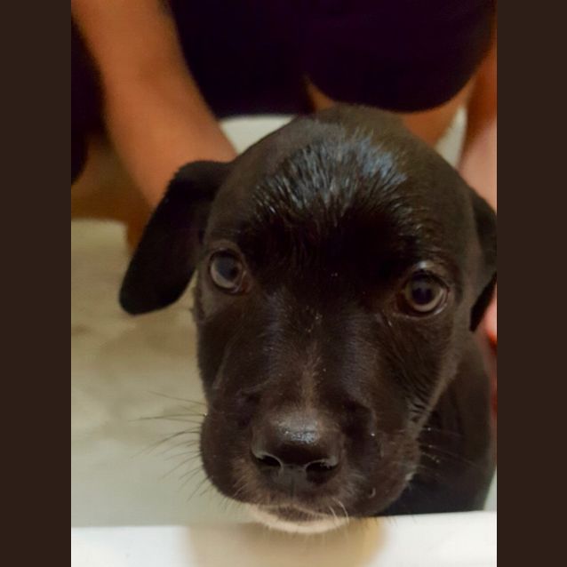 Photo of Guiness
