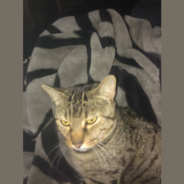 Photo of Cleo