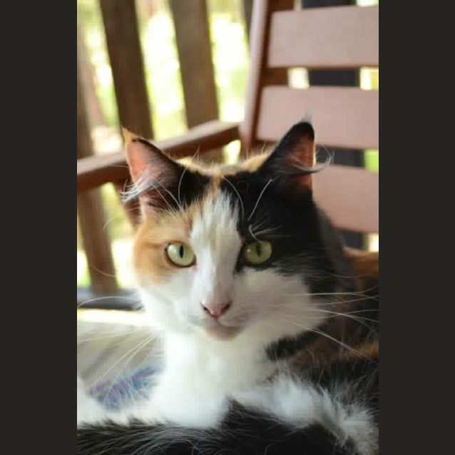 Photo of Kitty Bennett 