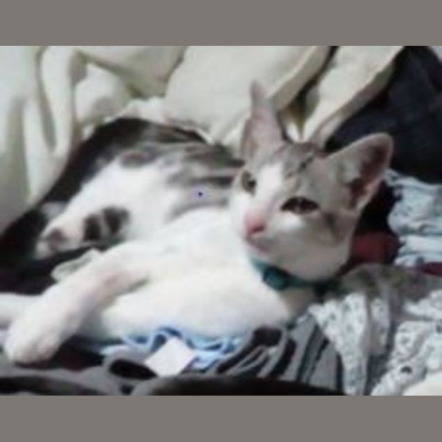 Photo of Nate **I Am At Pet Stock Oxley**