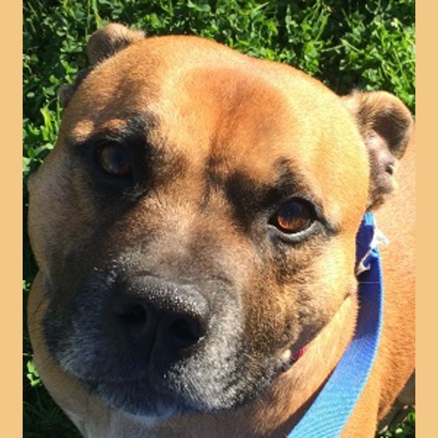 Photo of Arnie