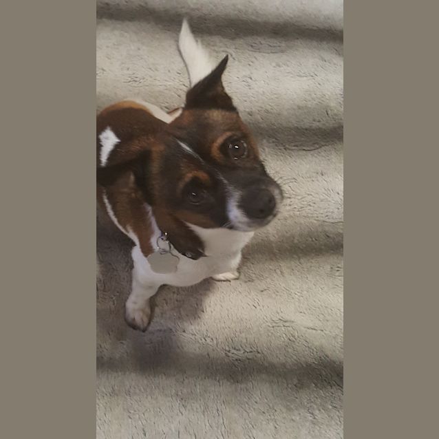 Photo of Crumpet