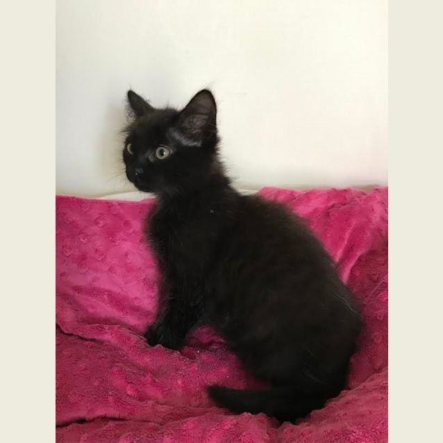 Photo of Lucy