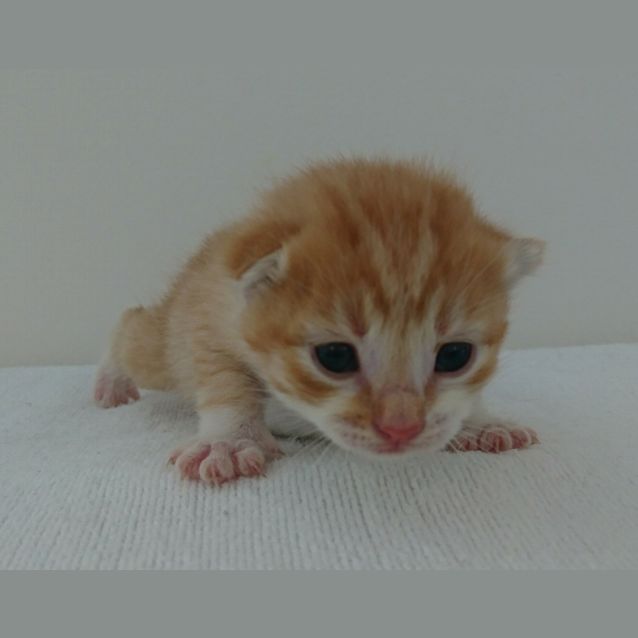 Photo of Ed