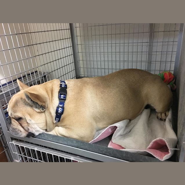 Photo of Gus