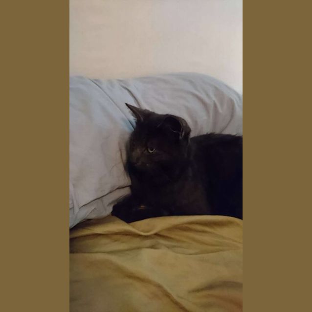 Photo of Kristy