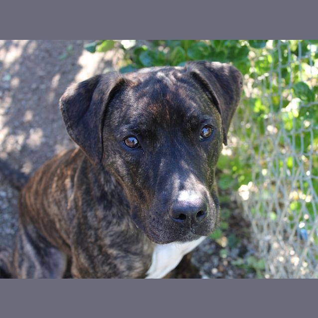 Photo of Major