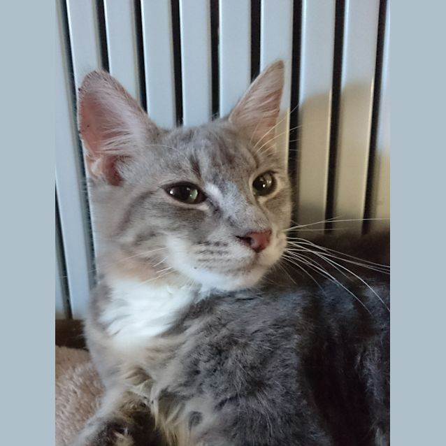 Photo of Reuben