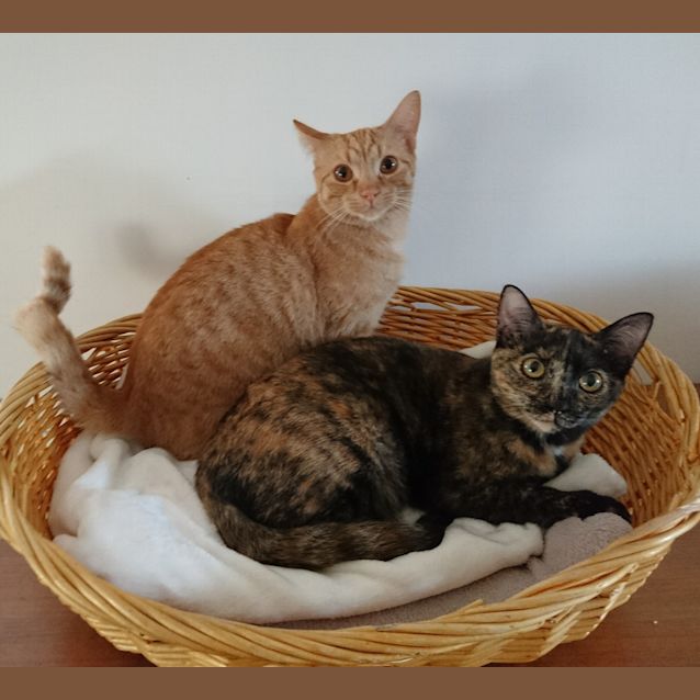 Photo of Olympia And Oden