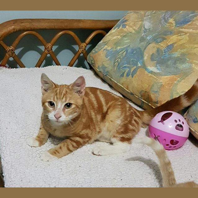 Photo of Tom
